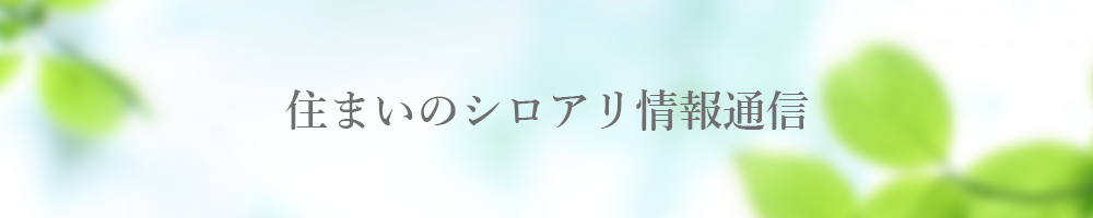 シロアリ情報